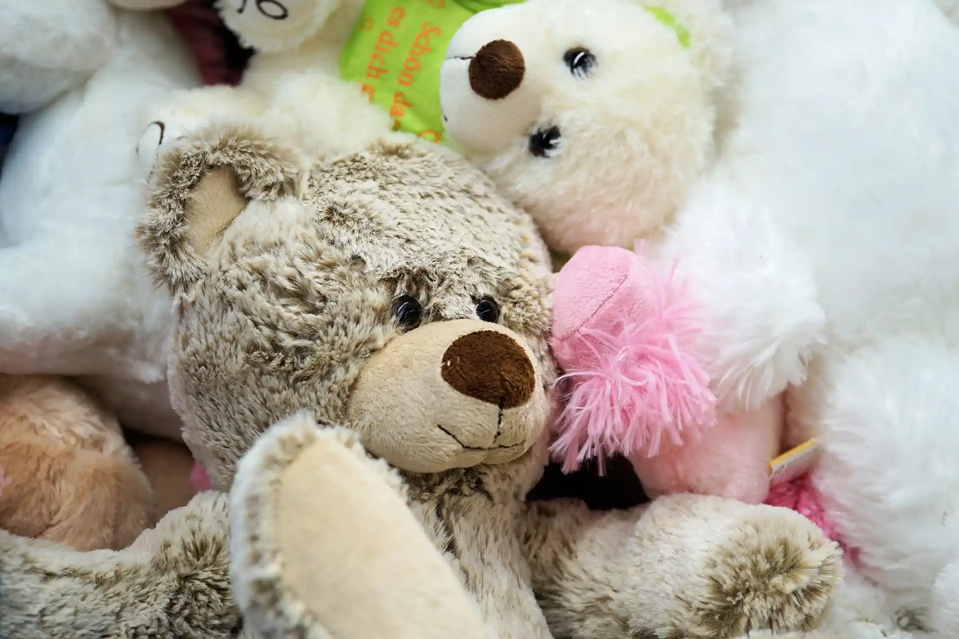 Adorable Bears Child 357309